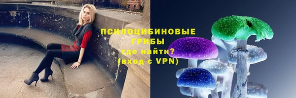 бошки Иннополис