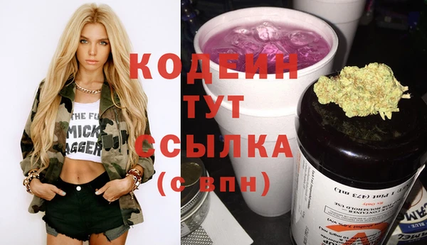 амф Инсар