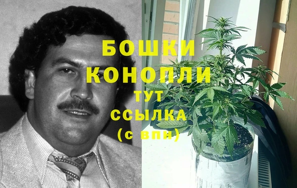 амф Инсар